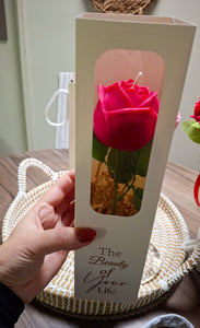 SINGLE ROSE